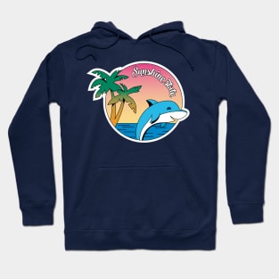 Florida Sunshine State Hoodie